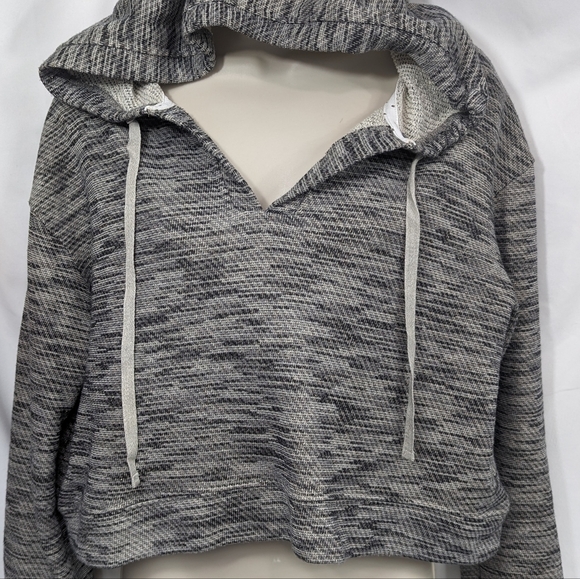 Saturday Sunday Cropped Metallic Shimmer Hoodie Sz M - Picture 4 of 13
